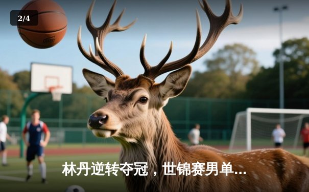 林丹逆转夺冠，世锦赛男单决赛惊心动魄 - 2